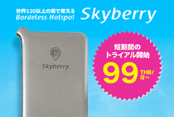 Skyberry