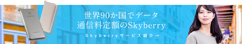 banner-skyberry.png